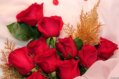 Red Rose Bouquet >> HD Wallpaper, Get It Now!