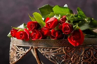 Red Roses Bouquet   (