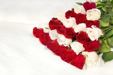 Beautiful White Roses Bouquet Wallpapers   ImgMob