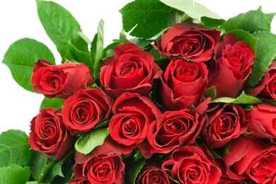 Download Wallpapers 1280x800 Roses, Flowers, Bouquet, Red, Chic ...