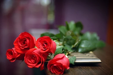 Red Roses Bouquet Wallpapers   1404866