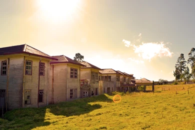 How To Easily Get All The Wallpapers Of The Ubuntu 14.04 Wallpapers ...