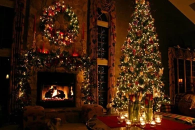 Beautiful Christmas Tree   Free Large Images