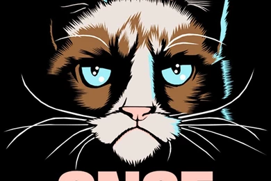 Grumpy Cat I Had Fun Once iPhone 6 Plus HD Wallpapers / IPod ...