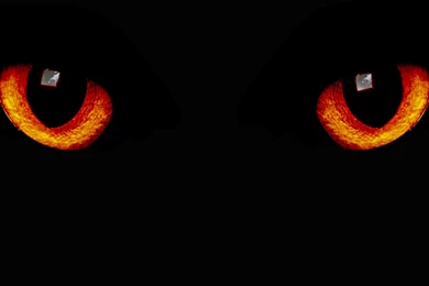 Wallpapers Black Night Eyes Dark Red Cats Littleteufel 1920x1080 ...