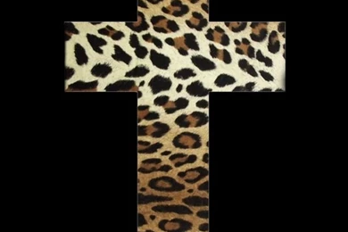 Cross Backgrounds Tumblr Cheetah
