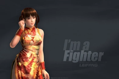 DOA5 Last Round Wallpapers 1B