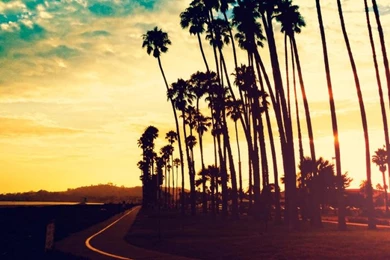 Los Angeles Live Wallpapers   Android Apps On Google Play