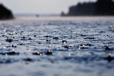 Summer Raindrops Close Up HD Desktop Wallpapers 05   1920x1200 ...