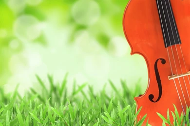 Musical Instruments Wallpapers