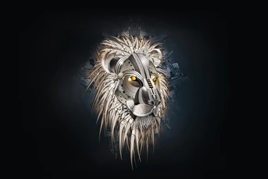 Lion Abstract Wallpapers High Definition