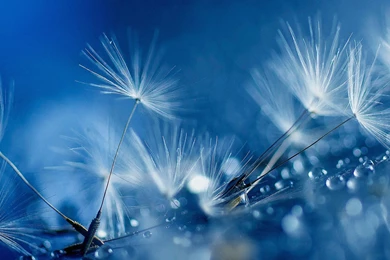 S5 Wallpapers Hd 1080p Download For Desktop