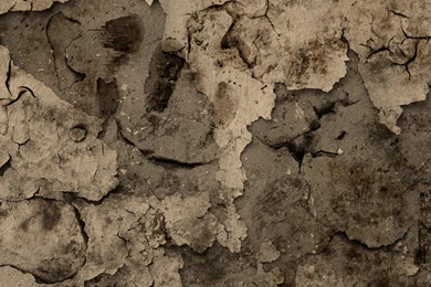 Wasteland Wallpapers By DaNoTomorrow On DeviantArt