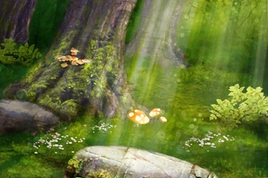 Enchanted Forest Toddler Room Ideas On Pinterest