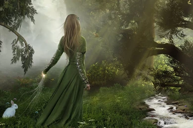 Wallpapers Enchanted Forest High Resolution Photo