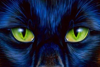 Cool Wallpapers For PC