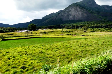 File:Agriculture Farm TamilNadu India Near Kerala.jpg   Wikimedia ...