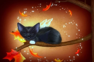 SuperHD.pics: Splendor Autumn Fall Halloween Leaves Butterfly ...