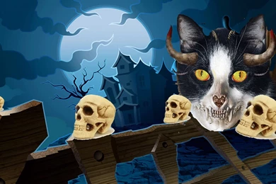 Halloween Free Wallpapers: Cat Halloween Wallpaper, Halloween ...
