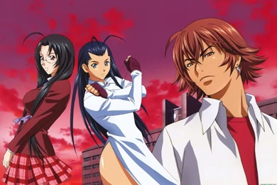 Kyosho Group Ikkitousen Wallpapers