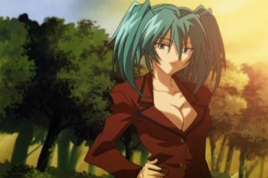 Top Ikki Tousen Ryofu Wallpapers Wallpapers