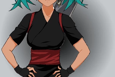 Ryofu Housen   Ikki Tousen By Anna Paula On DeviantArt