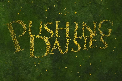 Pushing Daisies Wallpapers
