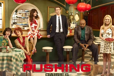 Pushing Daisies Wallpapers