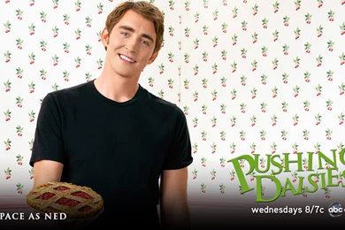 Cast Photos   Pushing Daisies Wallpapers (332794)   Fanpop