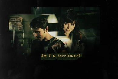 Ned & Chuck (Pushing Daisies)   TV Couples Wallpapers (962392)   Fanpop