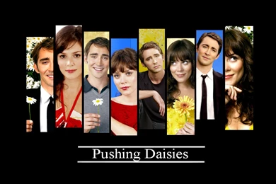 Pushing Daisies Wallpapers By ForeverKnight On DeviantArt