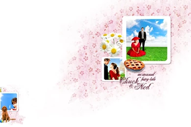 Pushing Daisies   Pushing Daisies Wallpapers (443086)   Fanpop