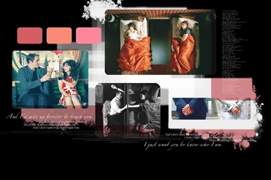 Pushing Daisies Wallpapers By Migosch On DeviantArt