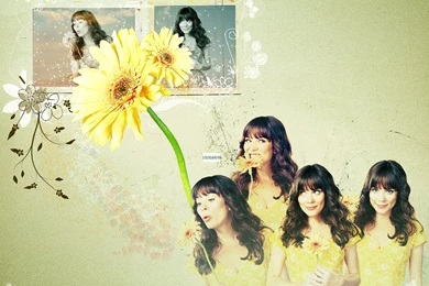 Pushing Daisies Wallpapers By Migosch On DeviantArt