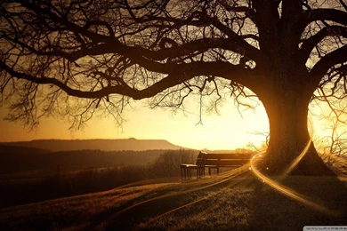 Wallpapers HD Widescreen High Quality Desktop Best HD Desktop ...