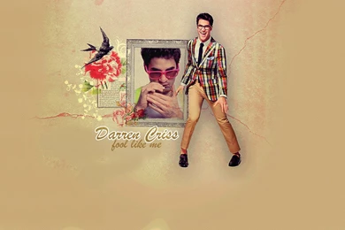 Darren Criss Wallpapers HD   HD Images New