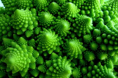 Eternal Green2 By Alpinestar On DeviantArt