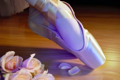 Ballet Dancer And Roses   Stock Pho... Wallpapers