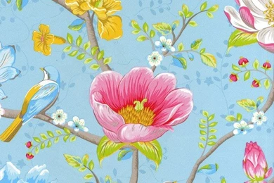 Order Pip Studio Wallpapers Online At Wallpaperwebstore.com