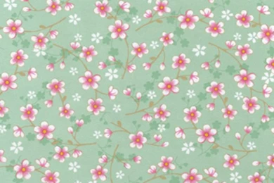 Brian Yates   Pip Studio   Brian Yates Pip Studio (313024 ...