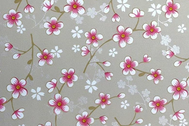 Cherry Blossom Wallpapers By Fifty One Percent