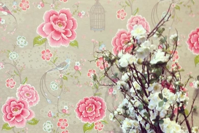 Pip Studio Wallpapers