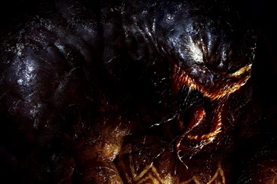 33 Spiderman HD Wallpapers 916 :: Spiderman 4 Hd Wallpapers