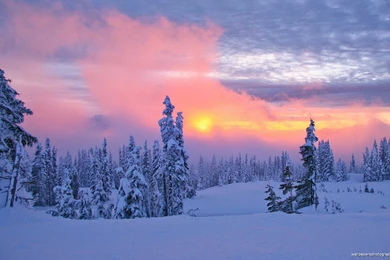 Snow Scenes Sunset HD Wallpapers