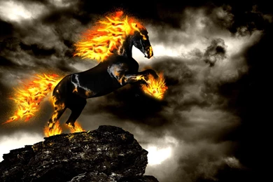 Fire Free Desktop Wallpapers Download Horses Fire Free Wallpapers In ...
