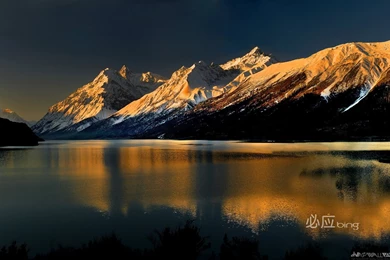 Dell Hd Wallpapers Free