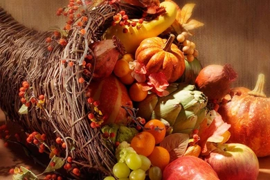 Autumn Harvest Wallpapers   (