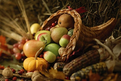 Download Wallpapers 3840x2160 Food, Autumn, Harvest, Composition 4K ...