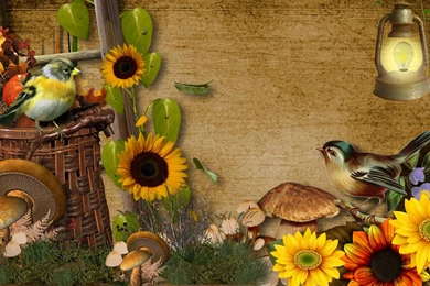 Beginning Of Harvest >> HD Wallpaper, Get It Now!