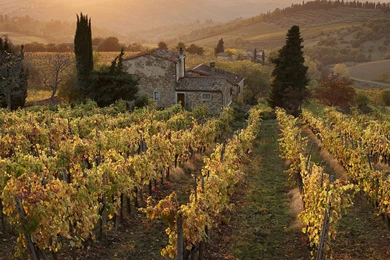 Autumn Harvest Wallpapers